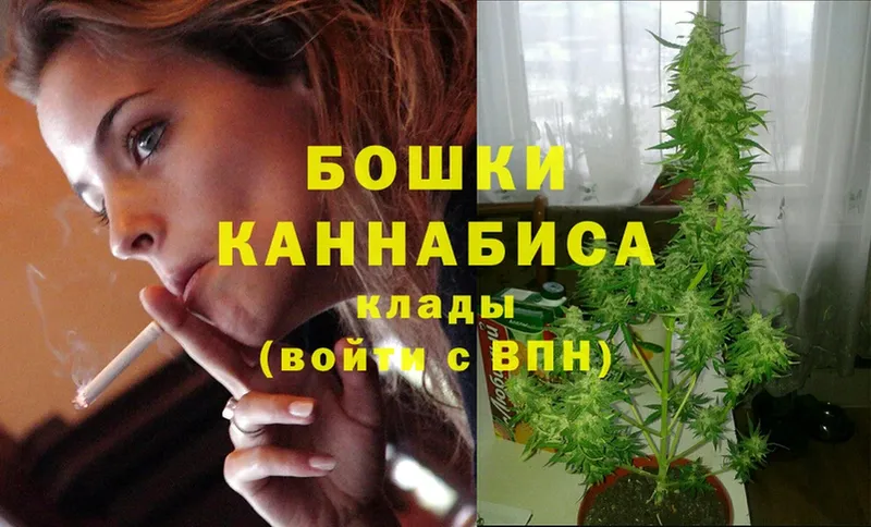 купить наркотик  Семикаракорск  МАРИХУАНА Amnesia 